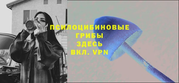 марки lsd Богородицк